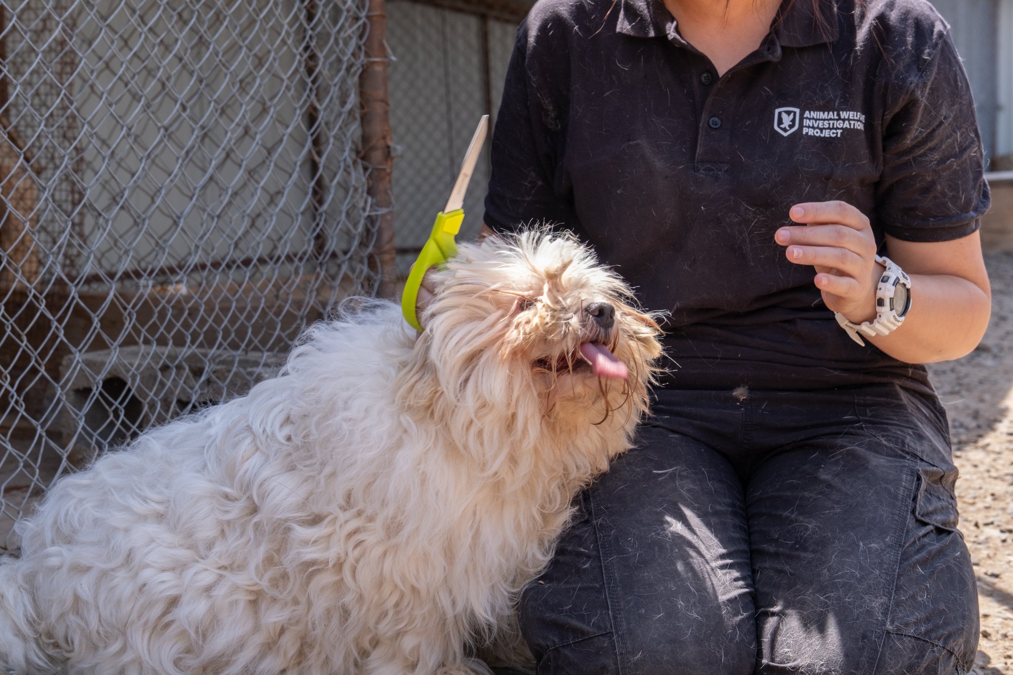Volunteer Homechecker