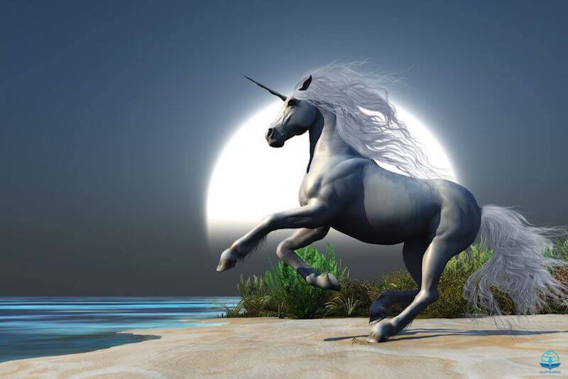 Photo of Unicorn
